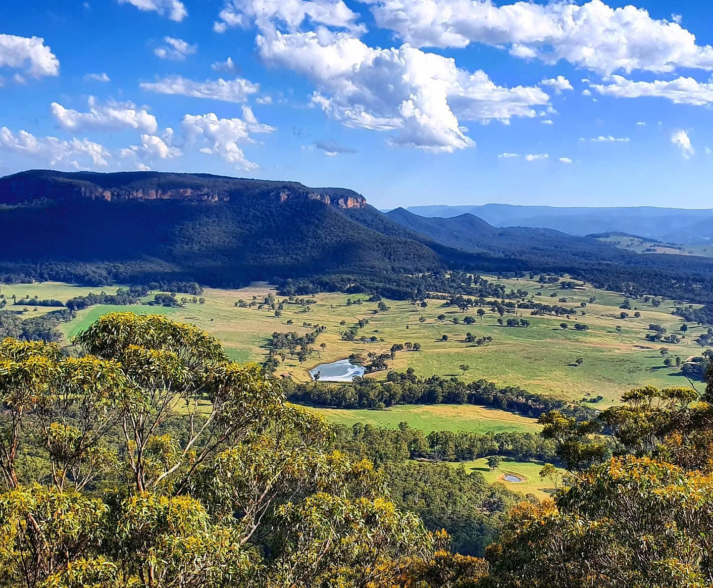 Yoga, klättring och japanska i Blue Mountains