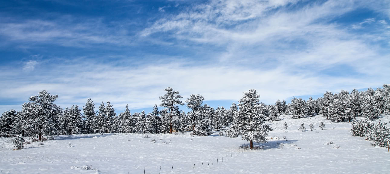 Läkning med naturen: en retreat vid vintersolståndet