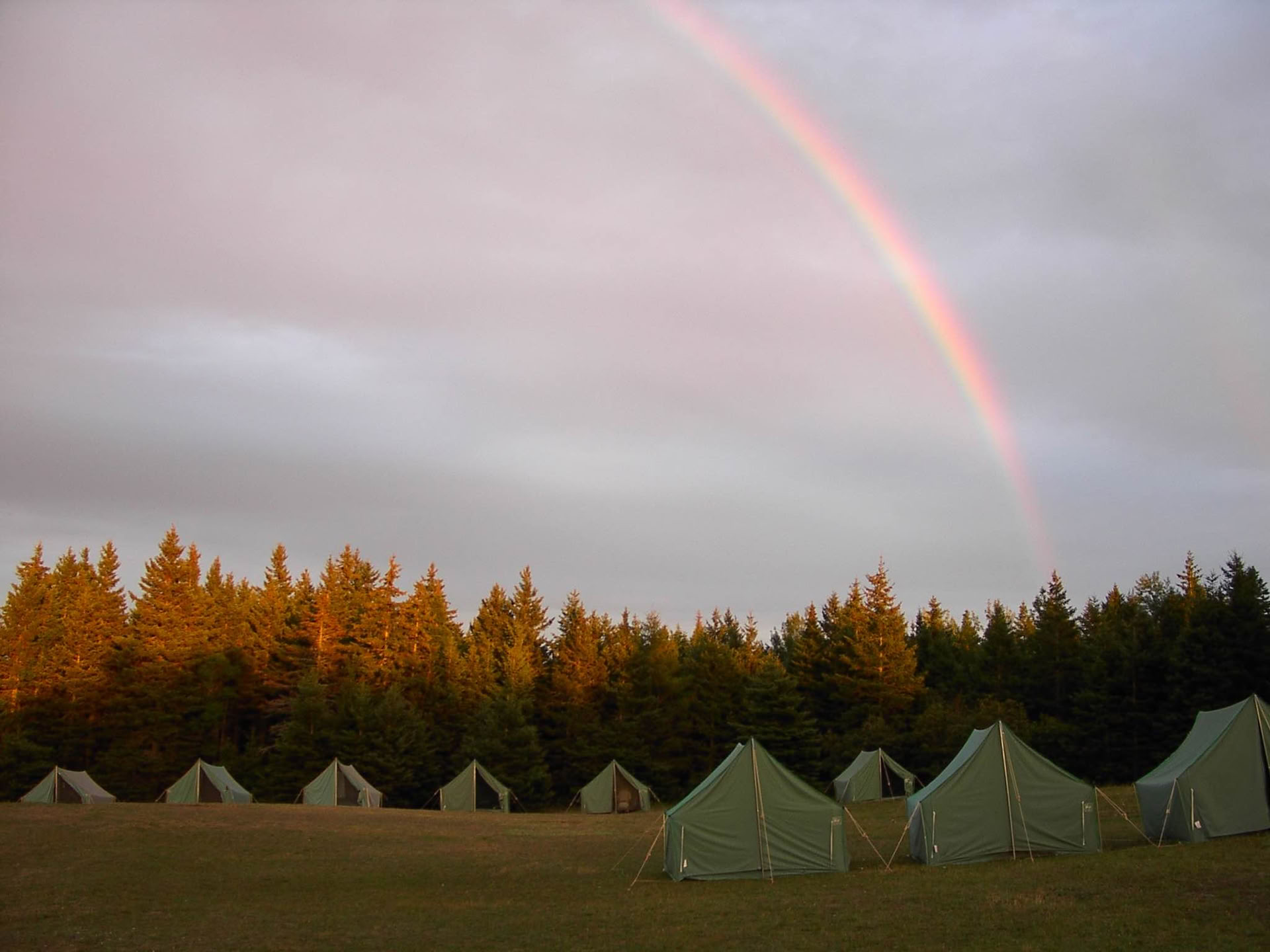 Fred och frihet: en veckolång meditationsretreat