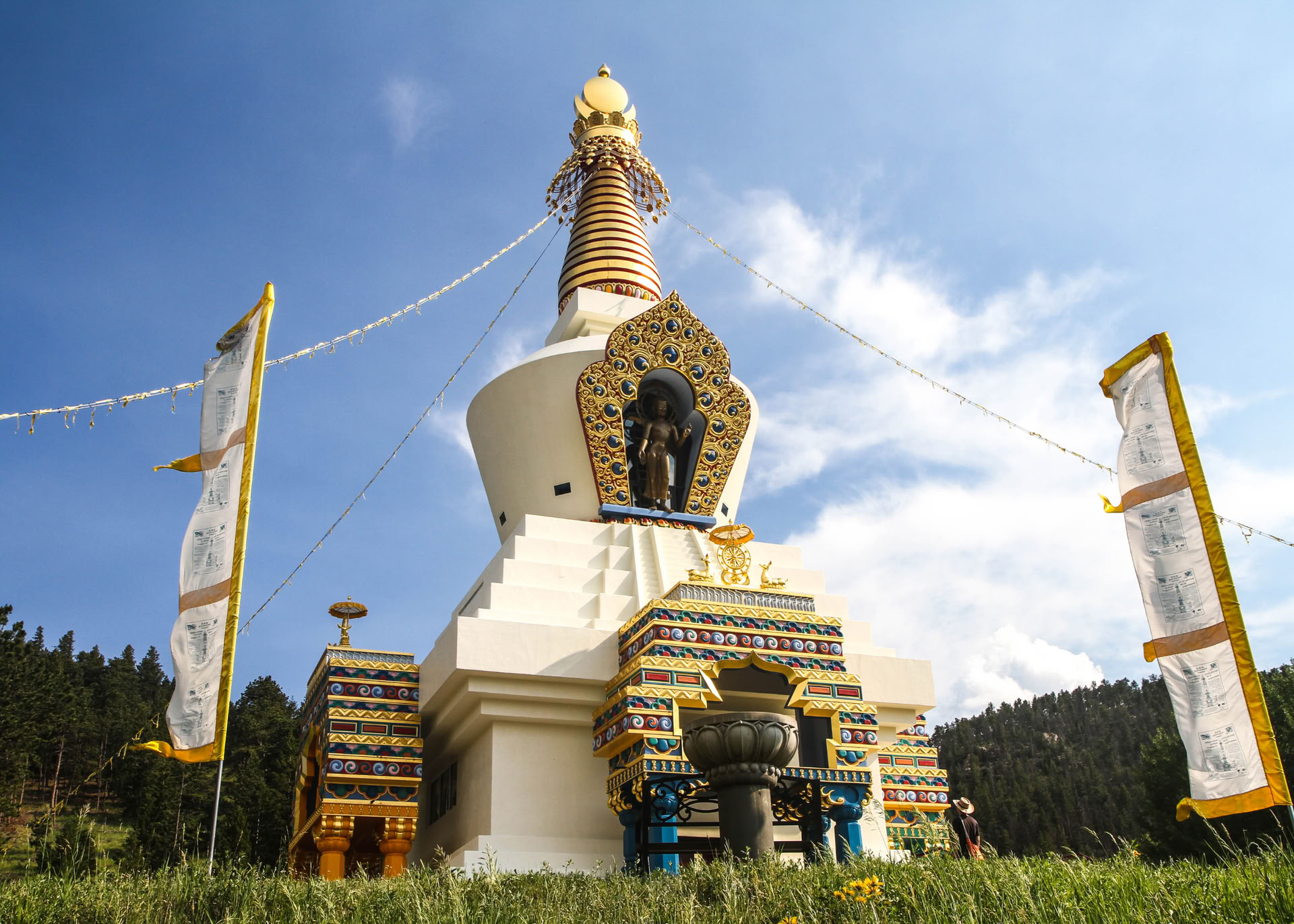 Buddhismens förmödrar: berättelser om mod, medkänsla och ledarskap