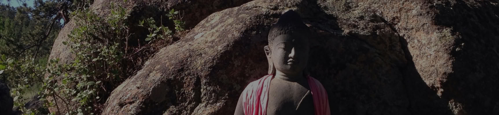 Att förkunna grundläggande sunt förnuft: att leva bodhisattvavägen