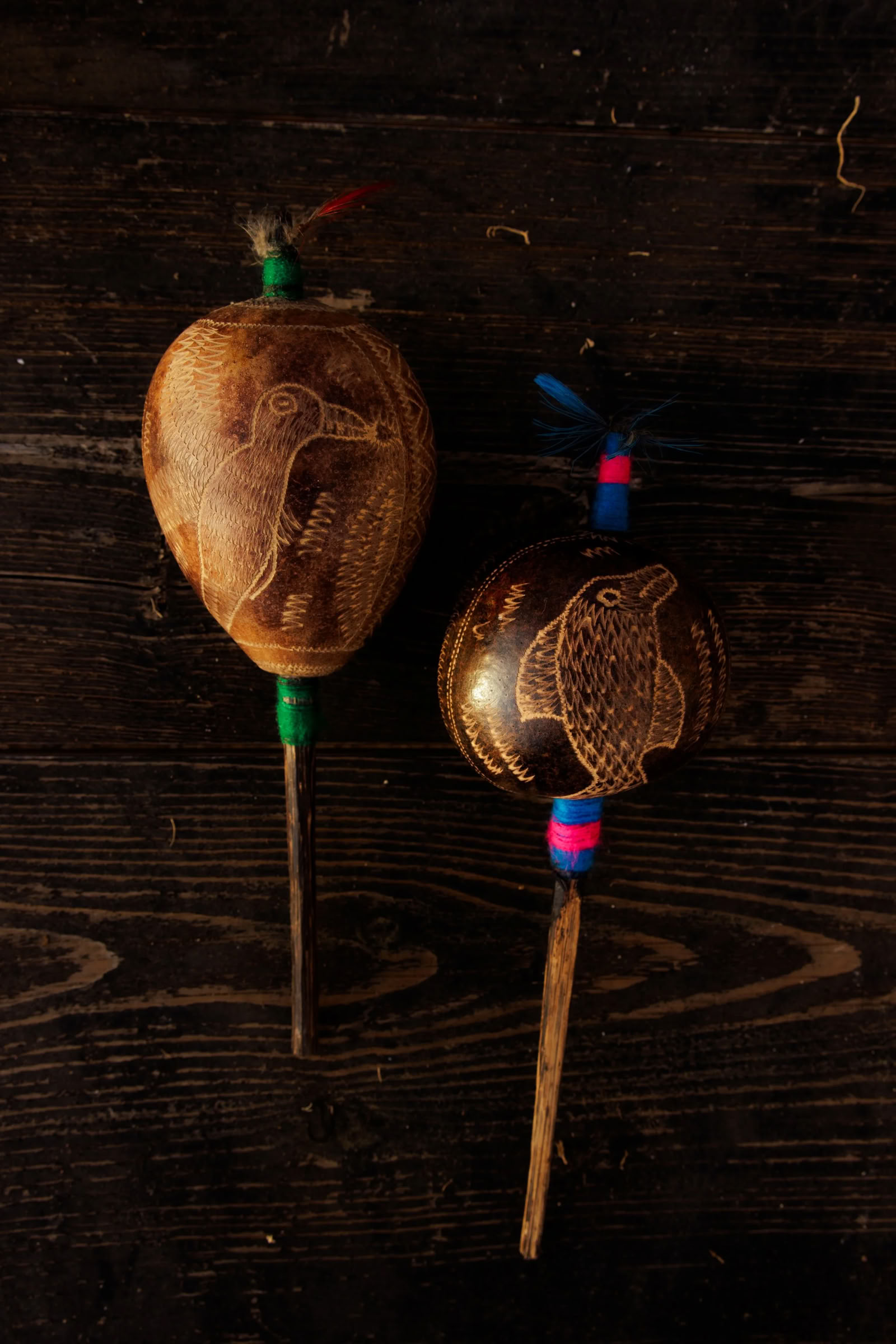 Huachuma- och 5-MeO-DMT-retreat