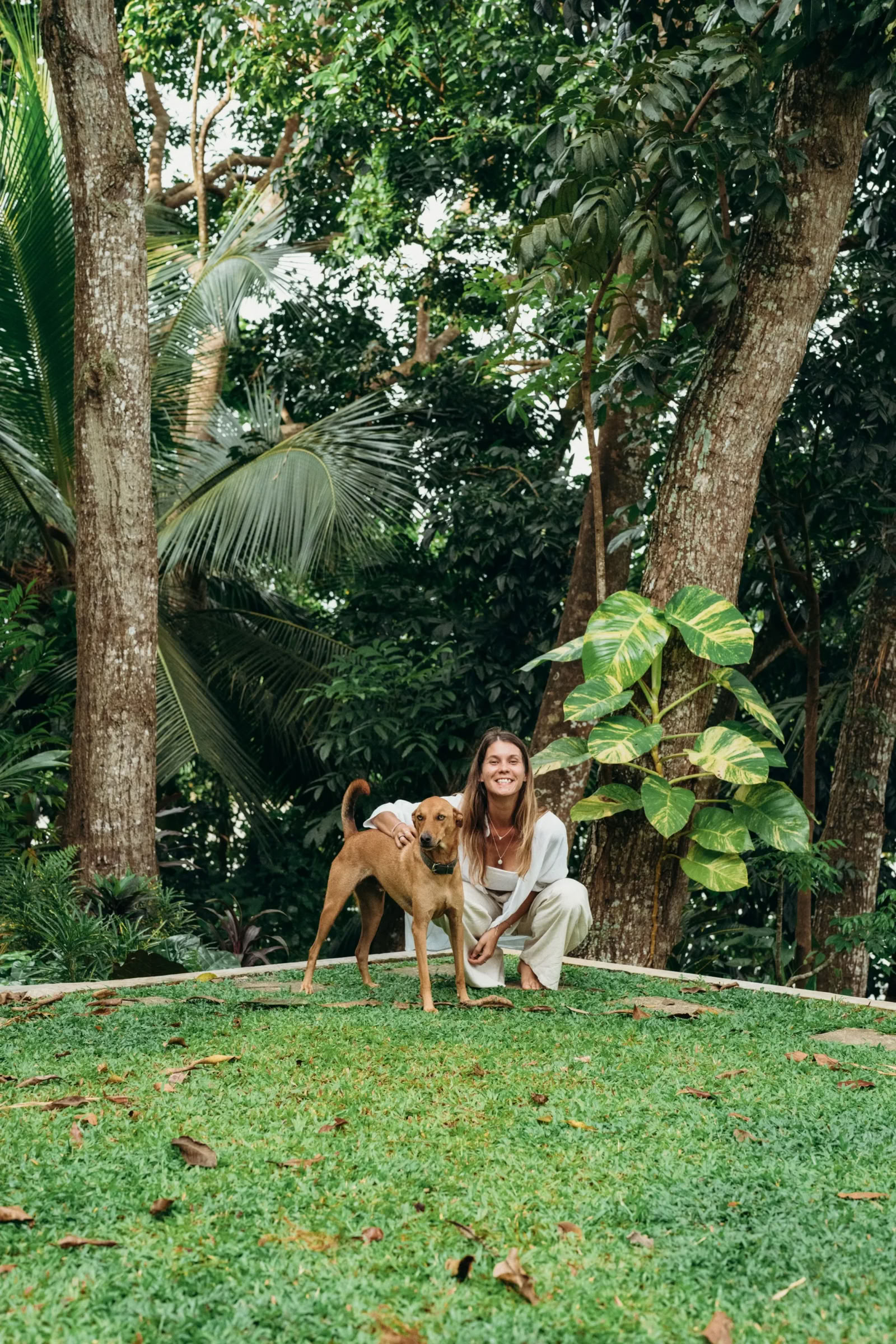 Synergi Vinyasa-yogaretreat på Lanka Yoga