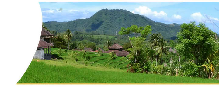 Helande vecka på Bali