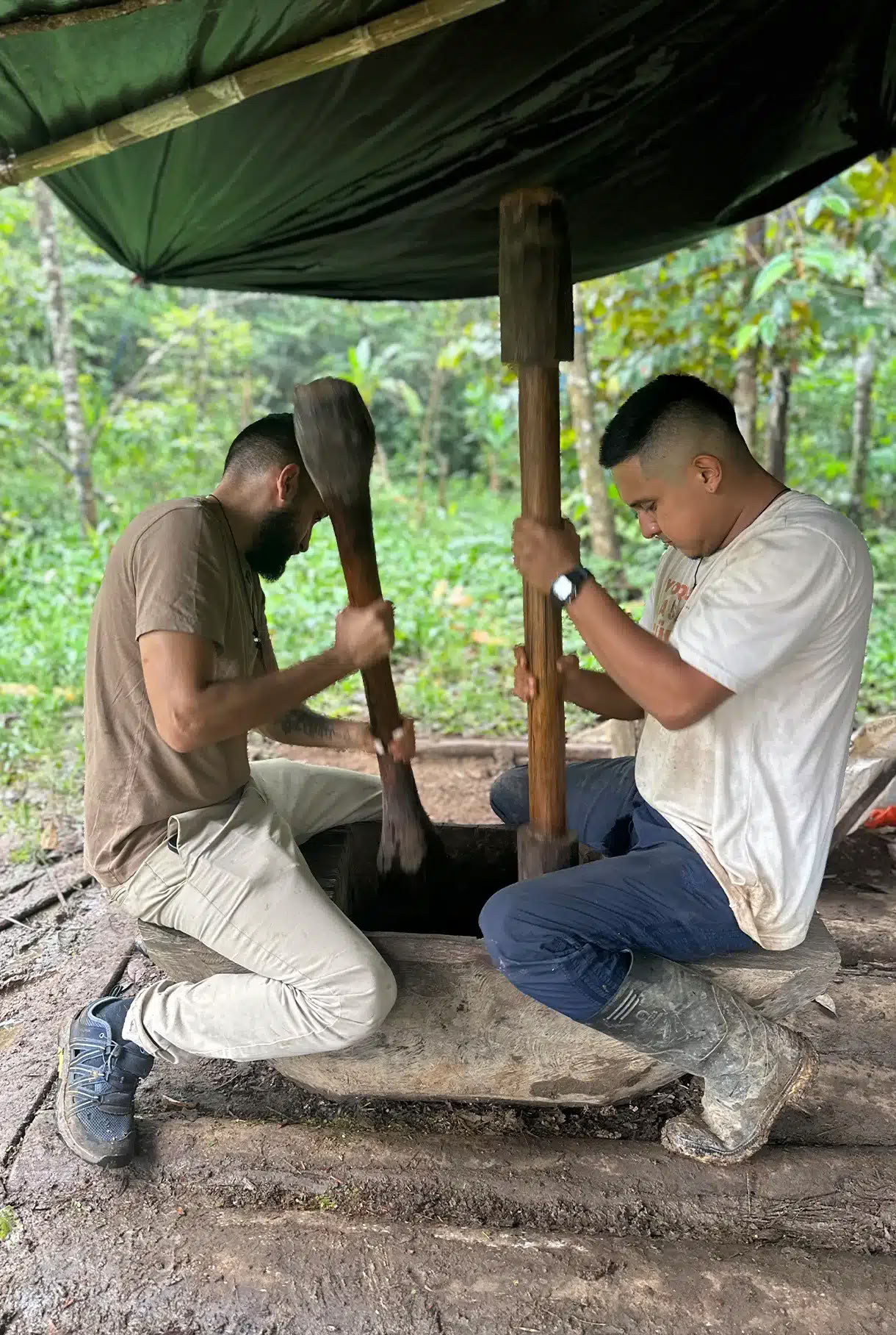 Ayahuasca-retreat med medicinmakaren Taita Miguel