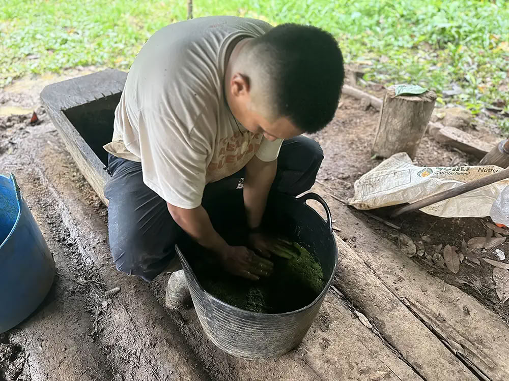 Ayahuasca-retreat med medicinmakaren Taita Miguel