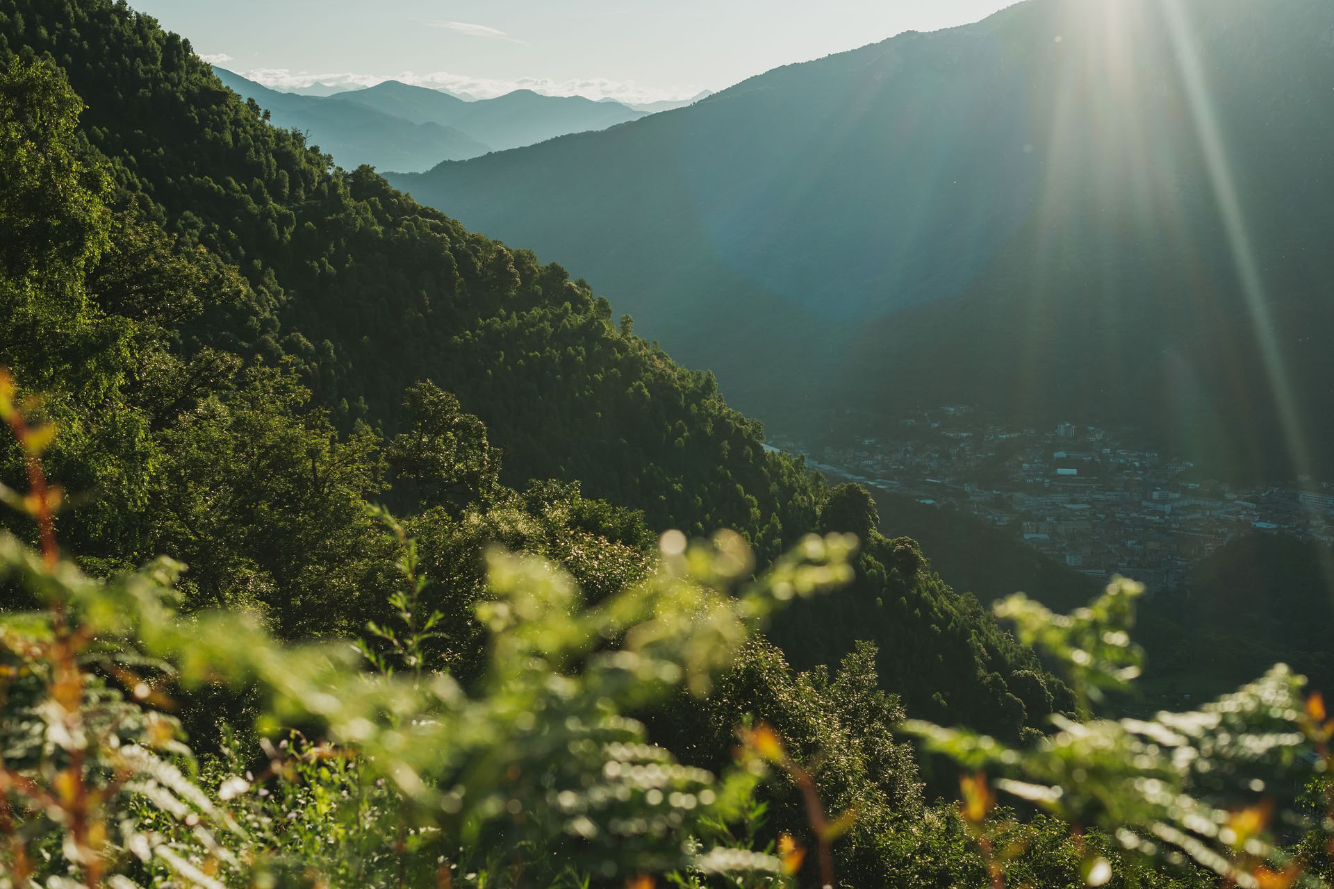 7 dagars tystnads-, detox- och rörelseretreat