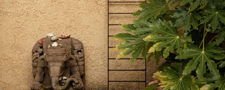 7 dagars tystnads-, detox- och rörelseretreat