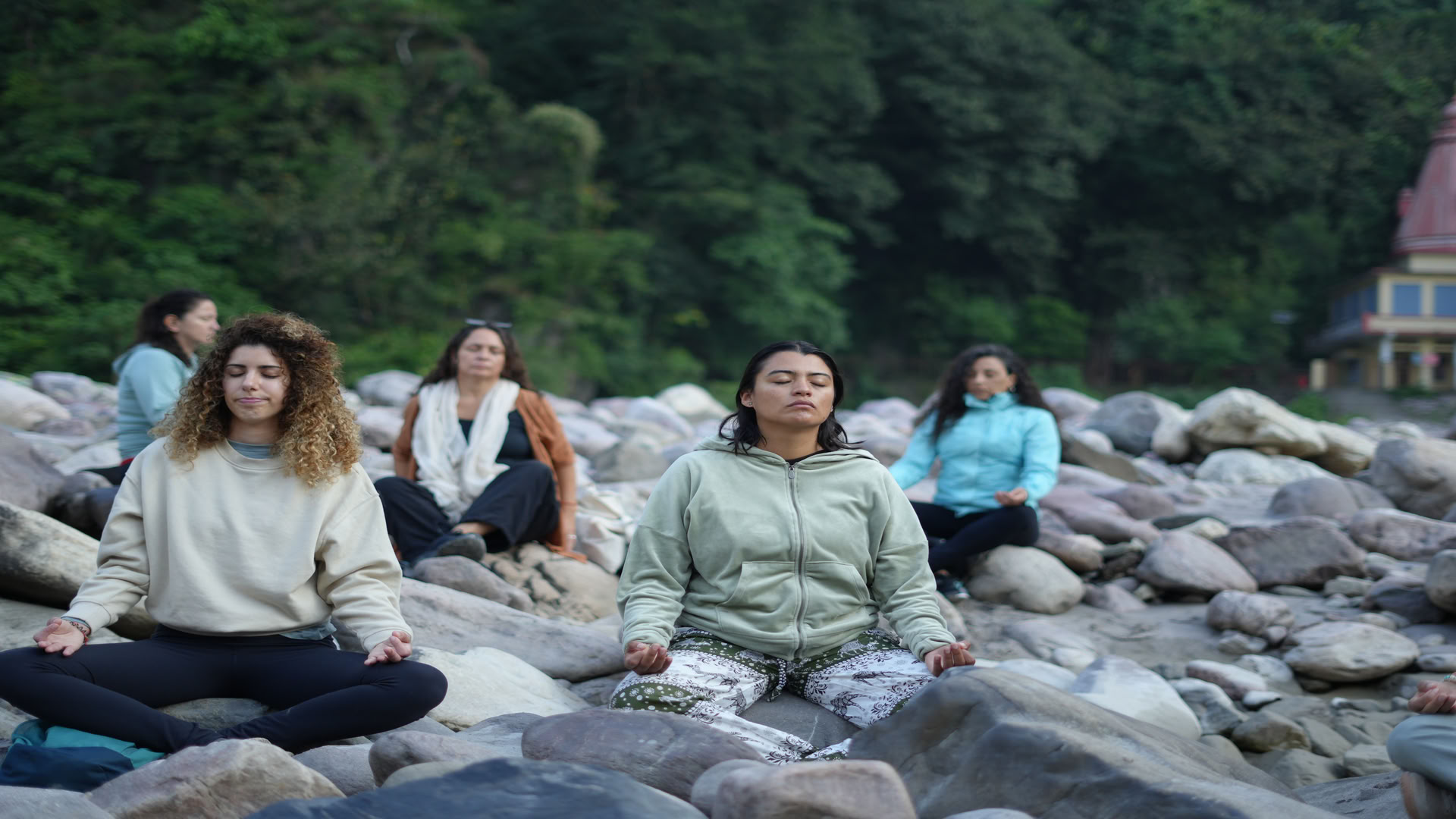 Ayurvediskt detoxprogram