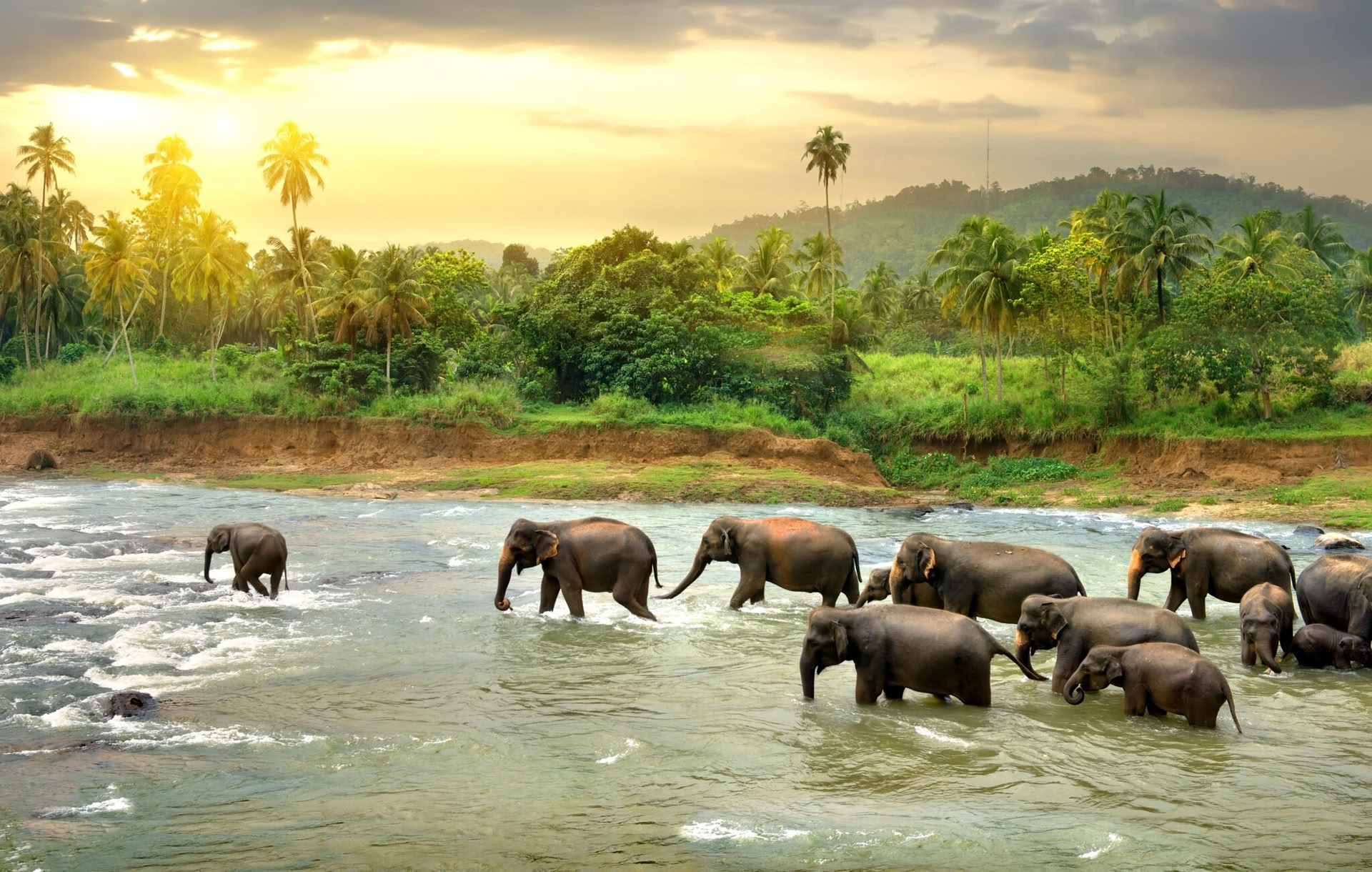 Lugna stigar: 7 dagar av lycka i Sri Lanka! Yoga, meditation, kultur, natur