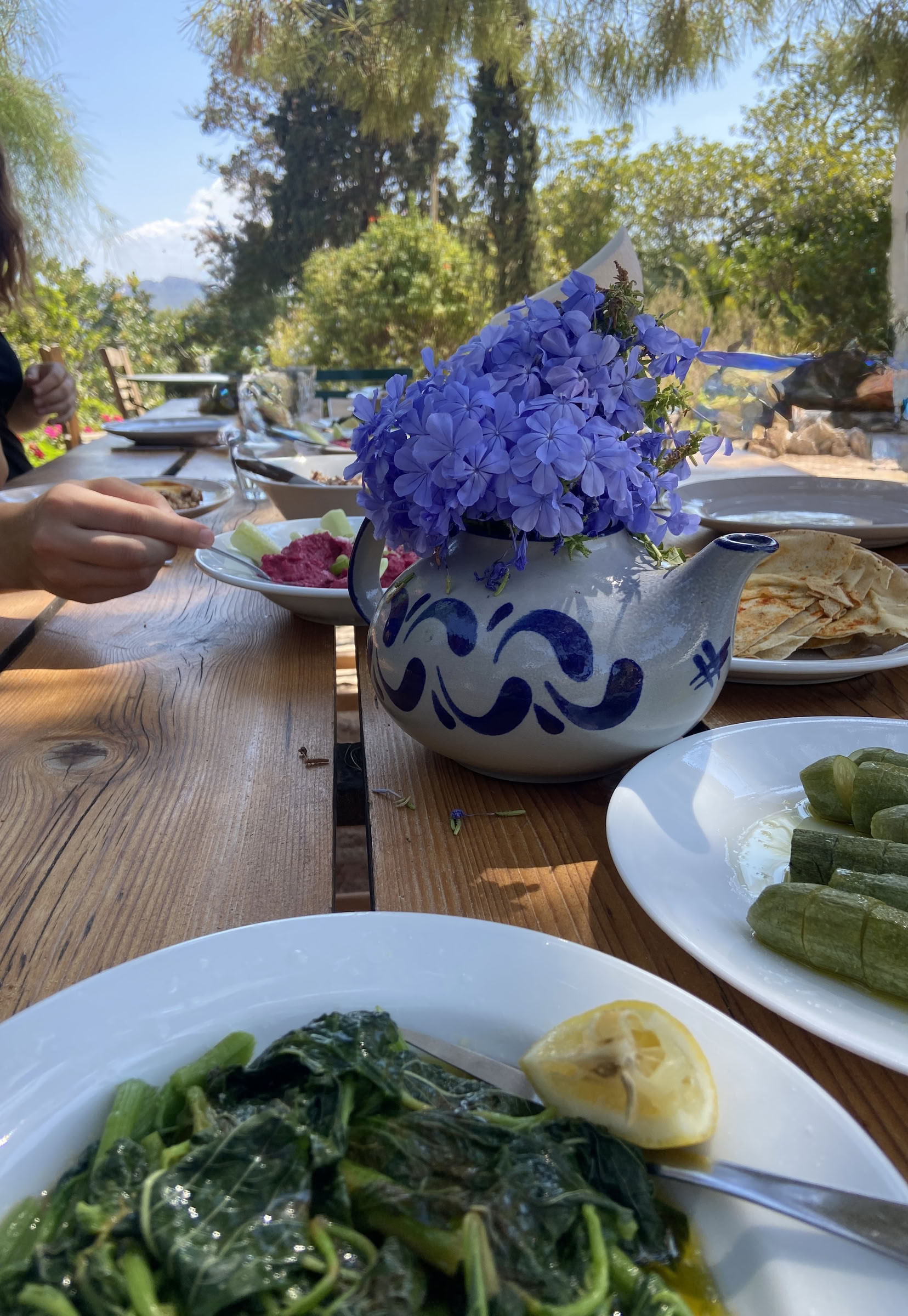 Midsommarretreat med långsamt liv och yoga i Grekland
