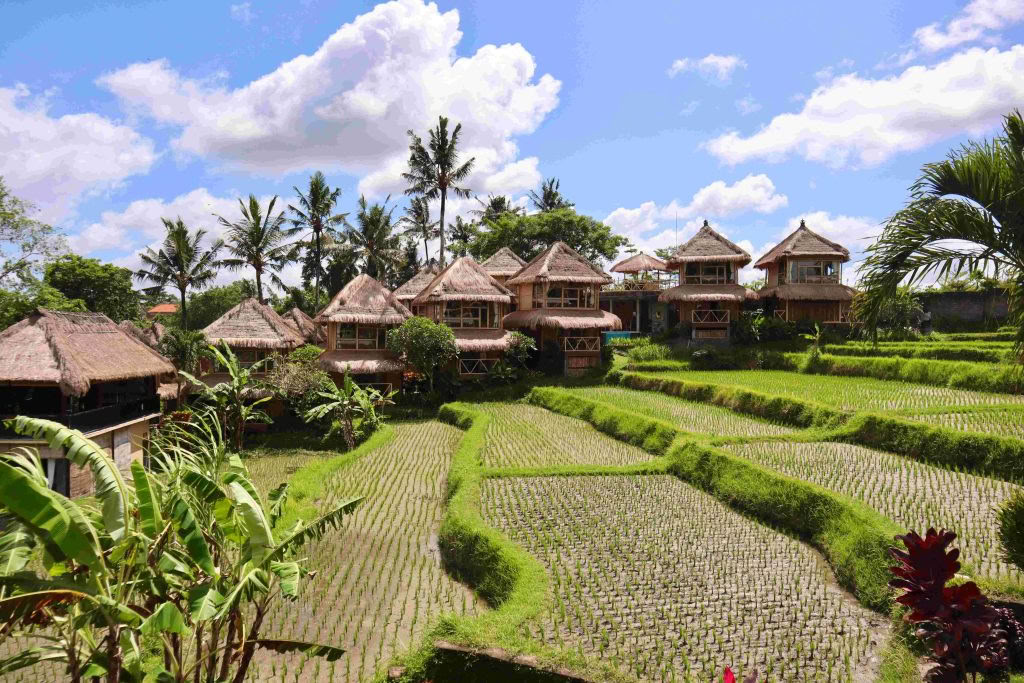 200-timmars yogalärarutbildning i Ubud, Bali | RYT 200-kurs