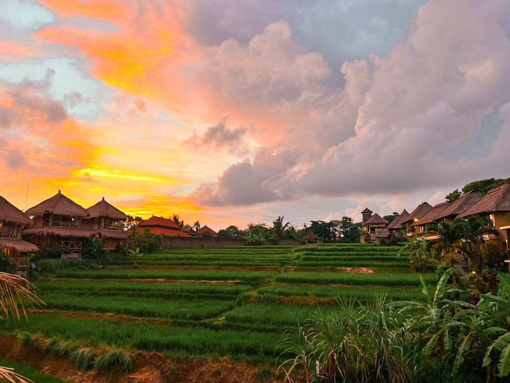 200-timmars yogalärarutbildning i Ubud, Bali | RYT 200-kurs