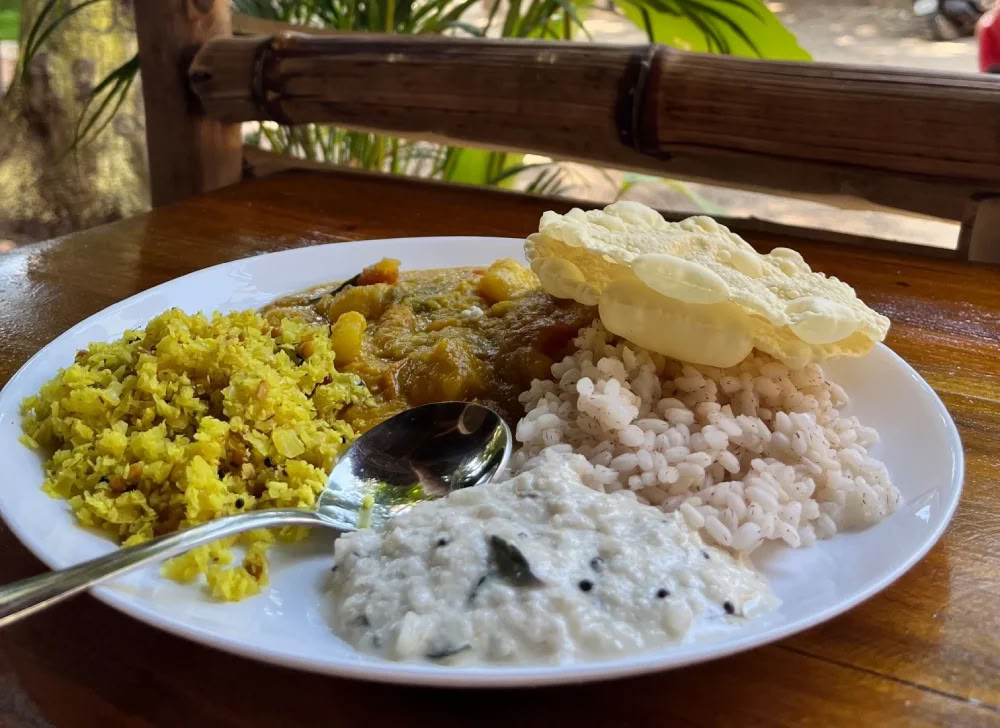 14 dagars andlig väckelse- och yogaretreat i Varkala, Kerala