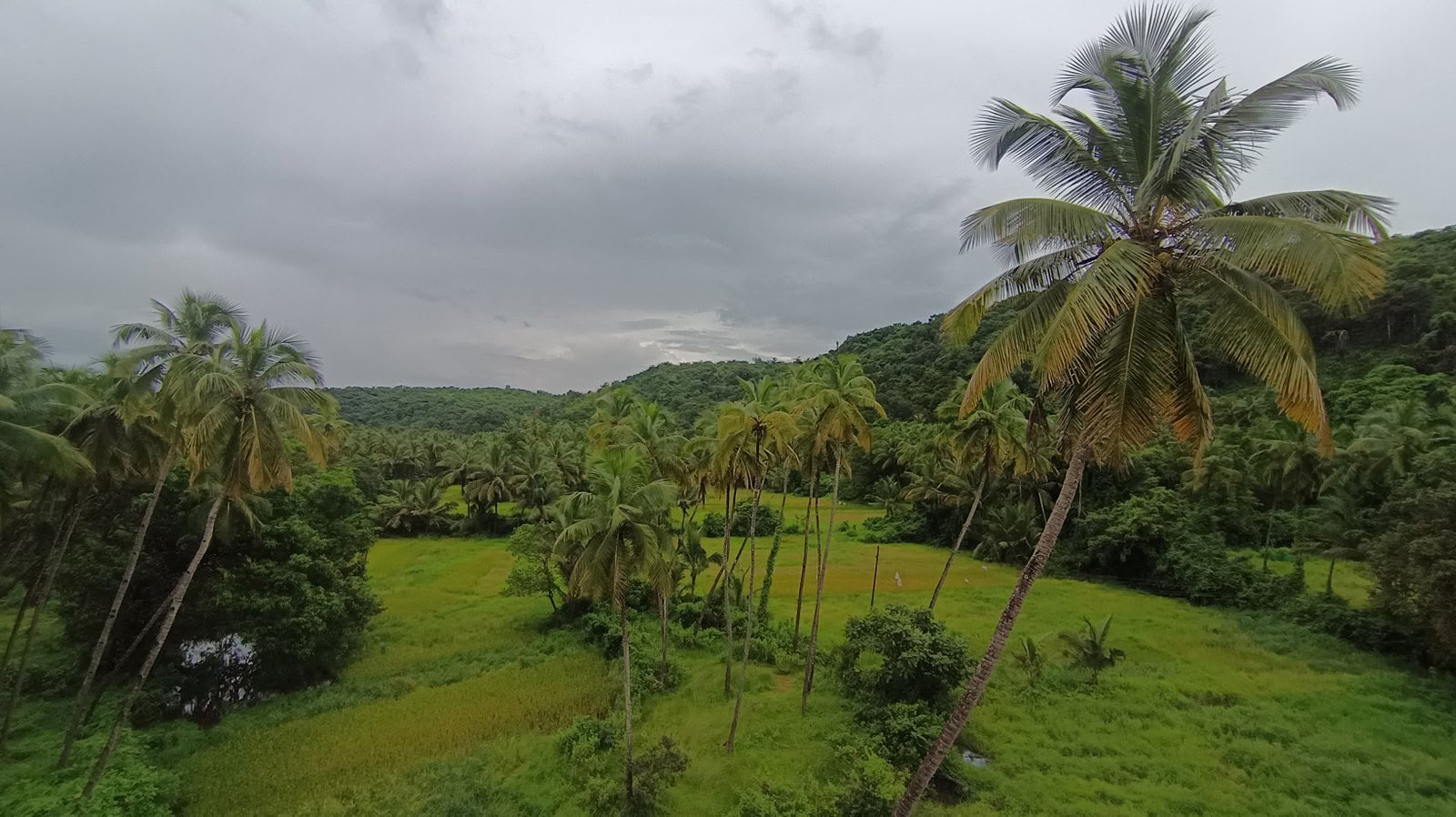100-timmars avancerad lärarutbildningskurs i tantra och kundaliniyoga i Goa, Indien