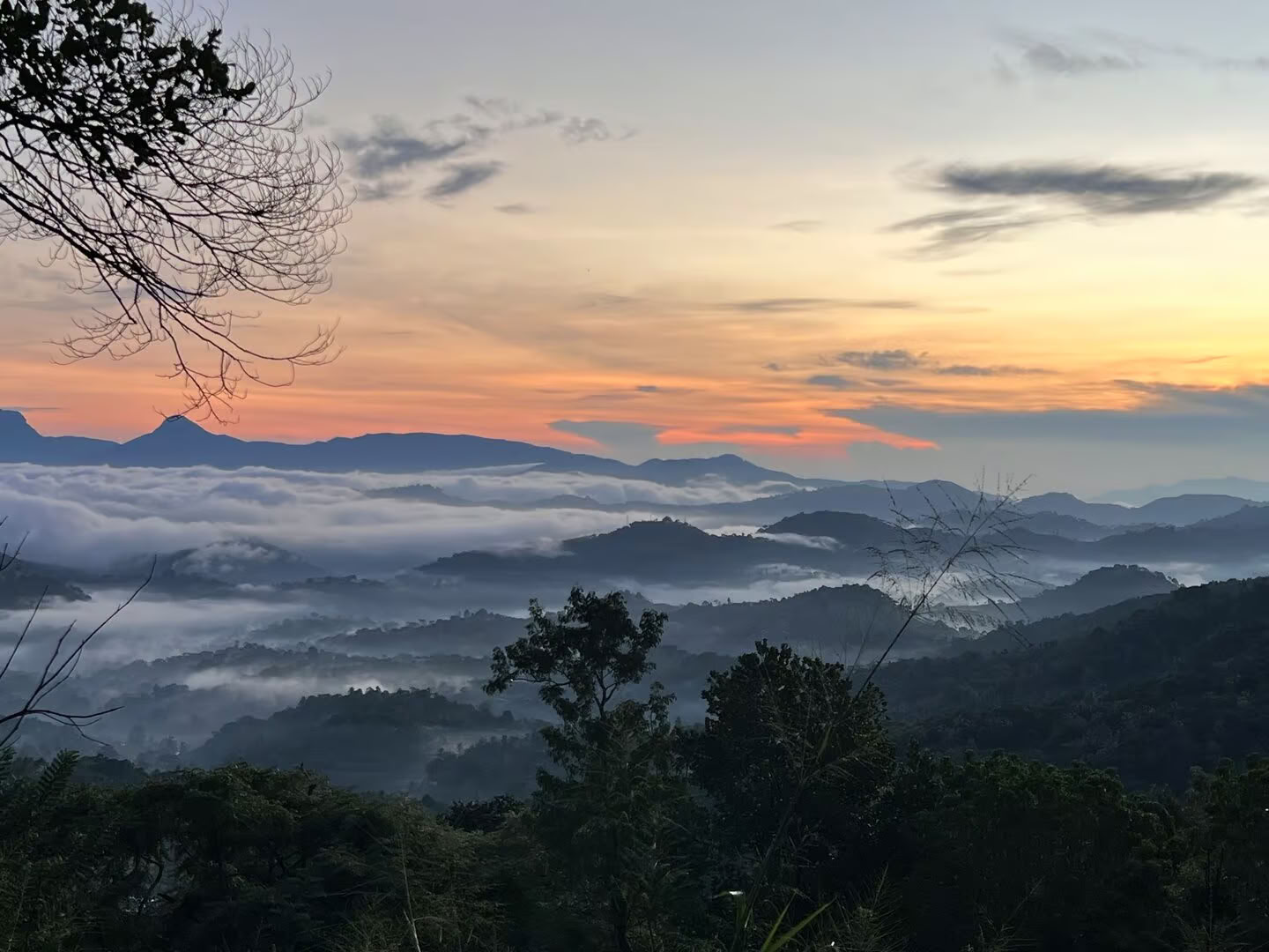 Yoga, resor och ayurveda på Sri Lanka: Ett äventyr för själen