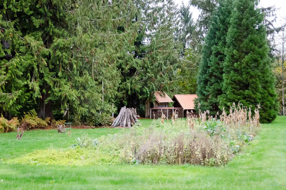 Avgiftningsretreat – Höstkur