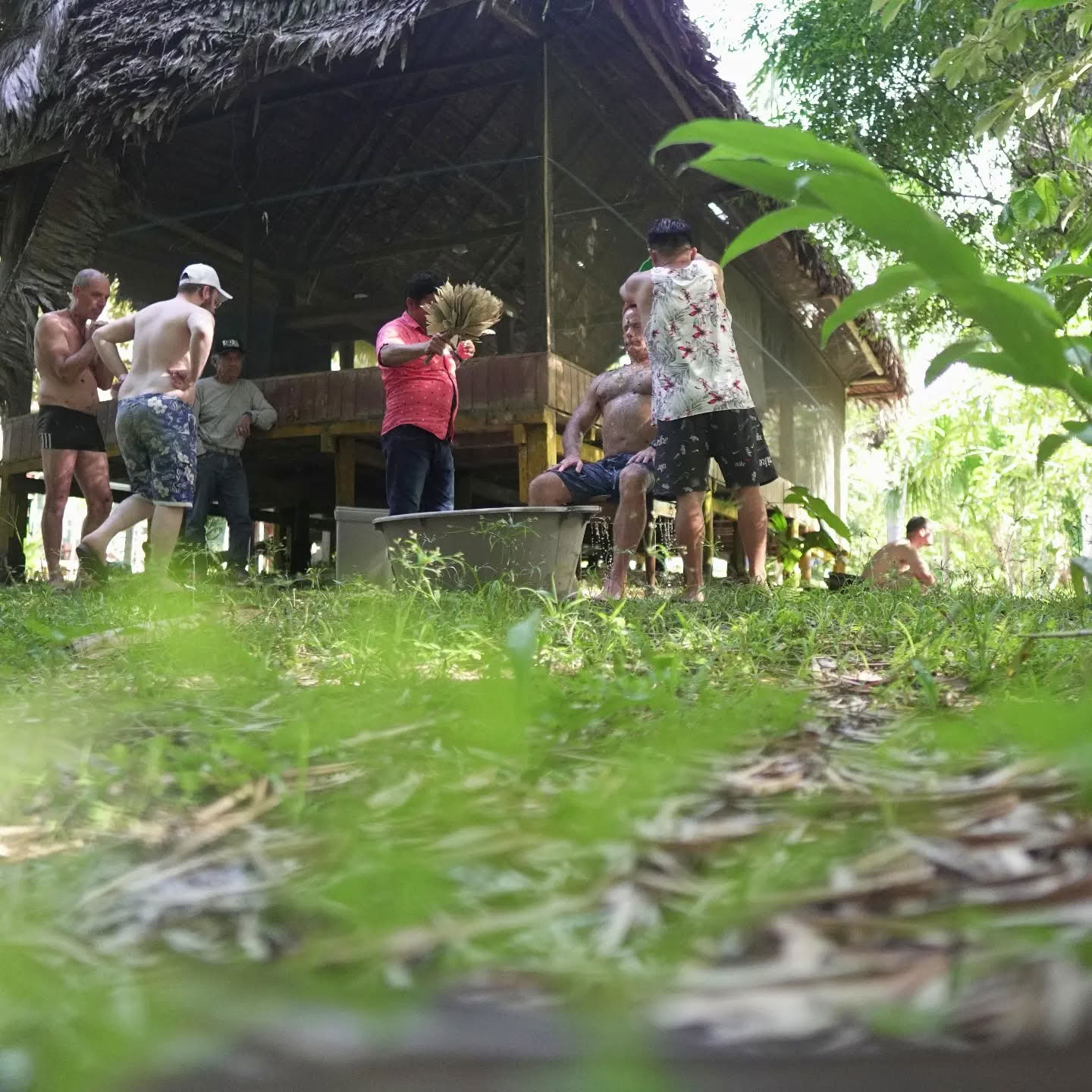 7-dagars ayahuasca-retreat