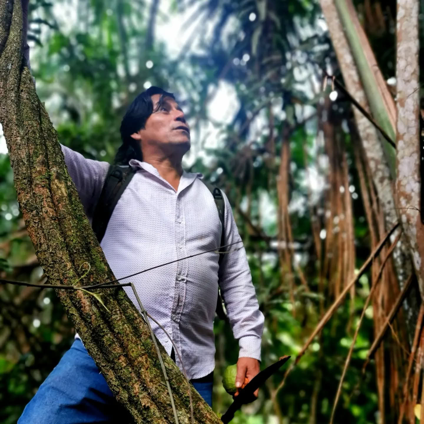 7-dagars ayahuasca-retreat
