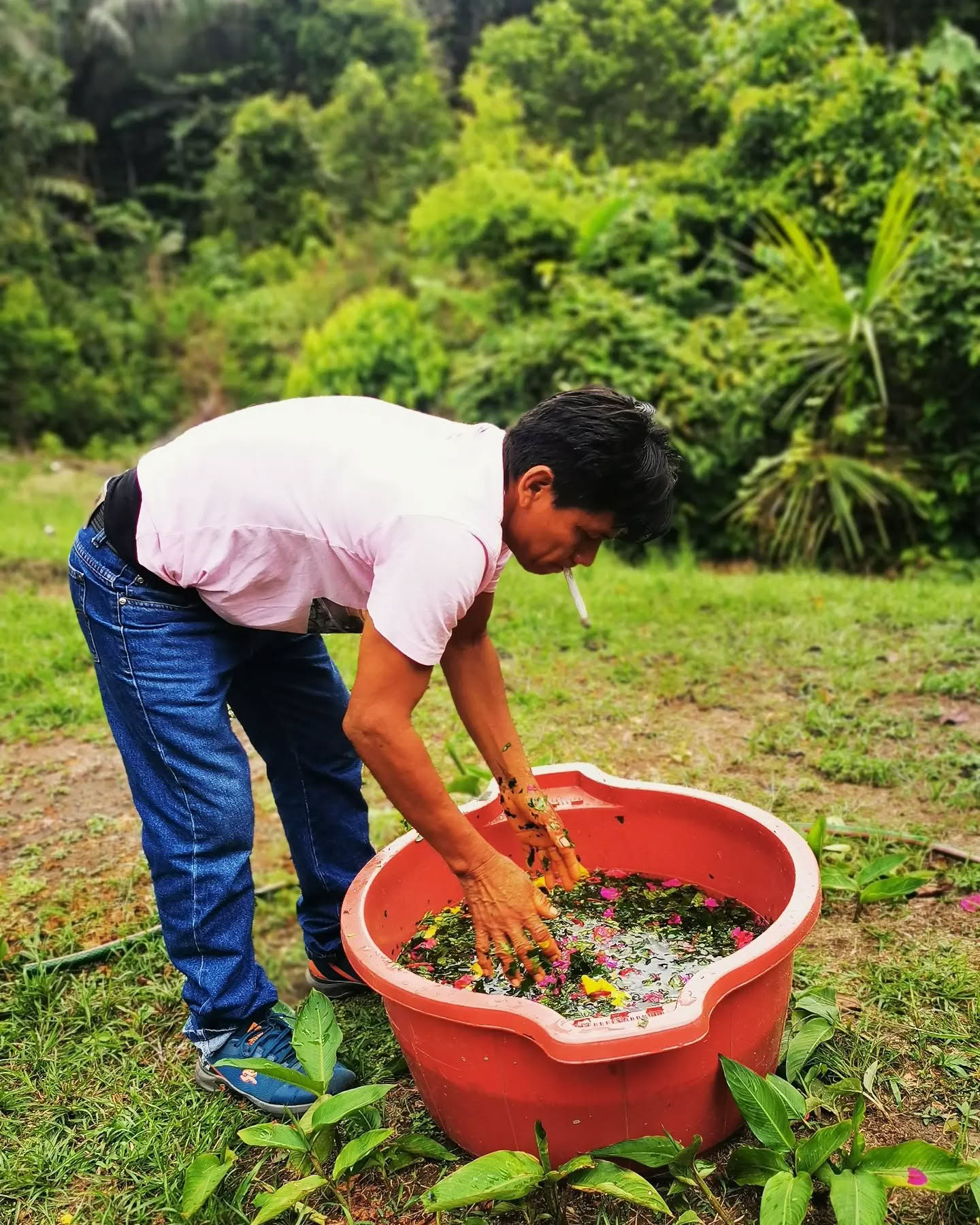 14-dagars ayahuasca-retreat