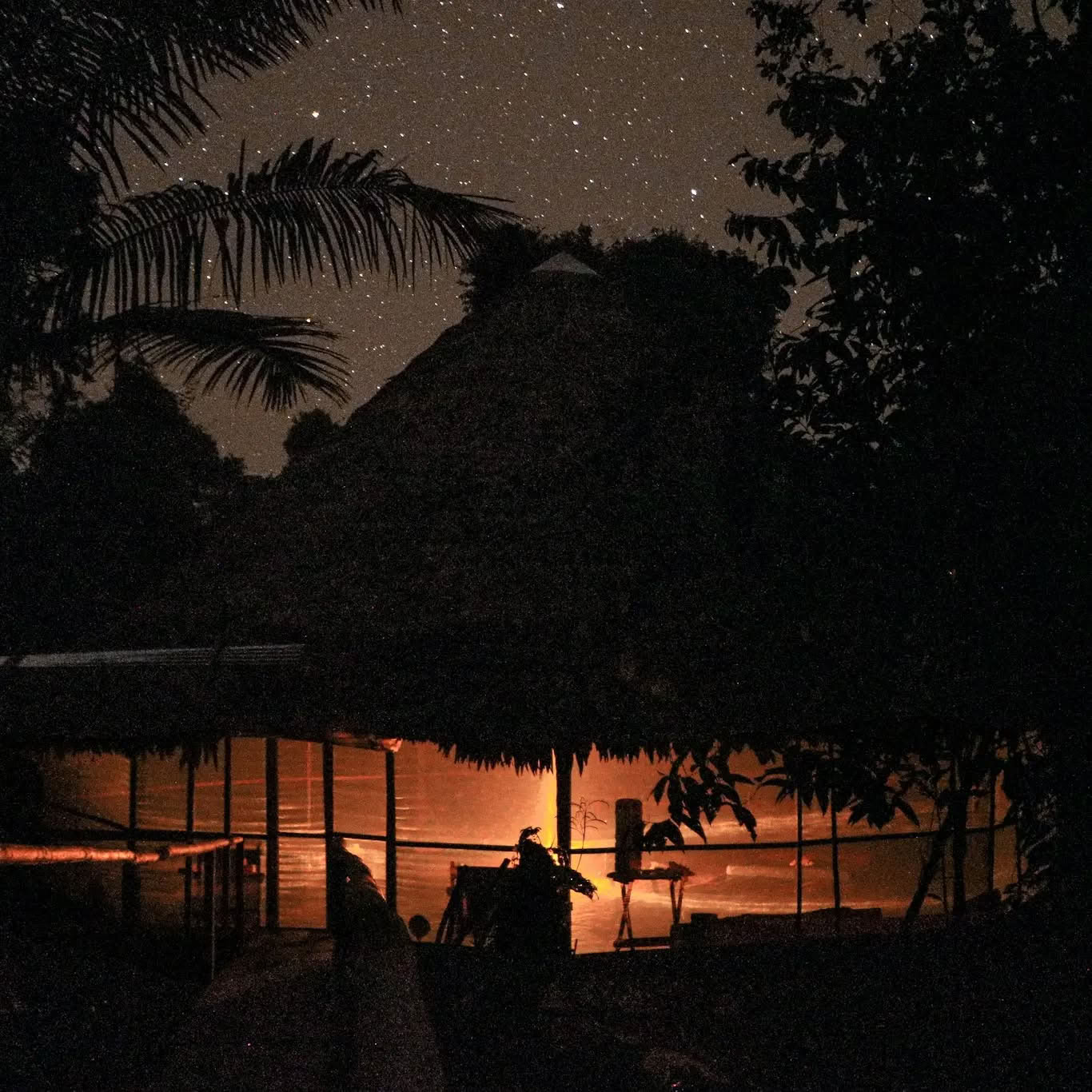 14-dagars ayahuasca-retreat