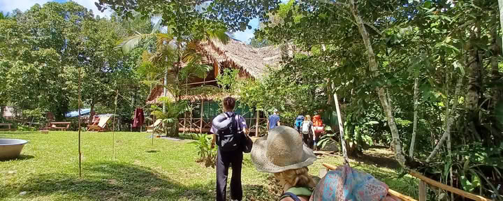 14-dagars ayahuasca-retreat