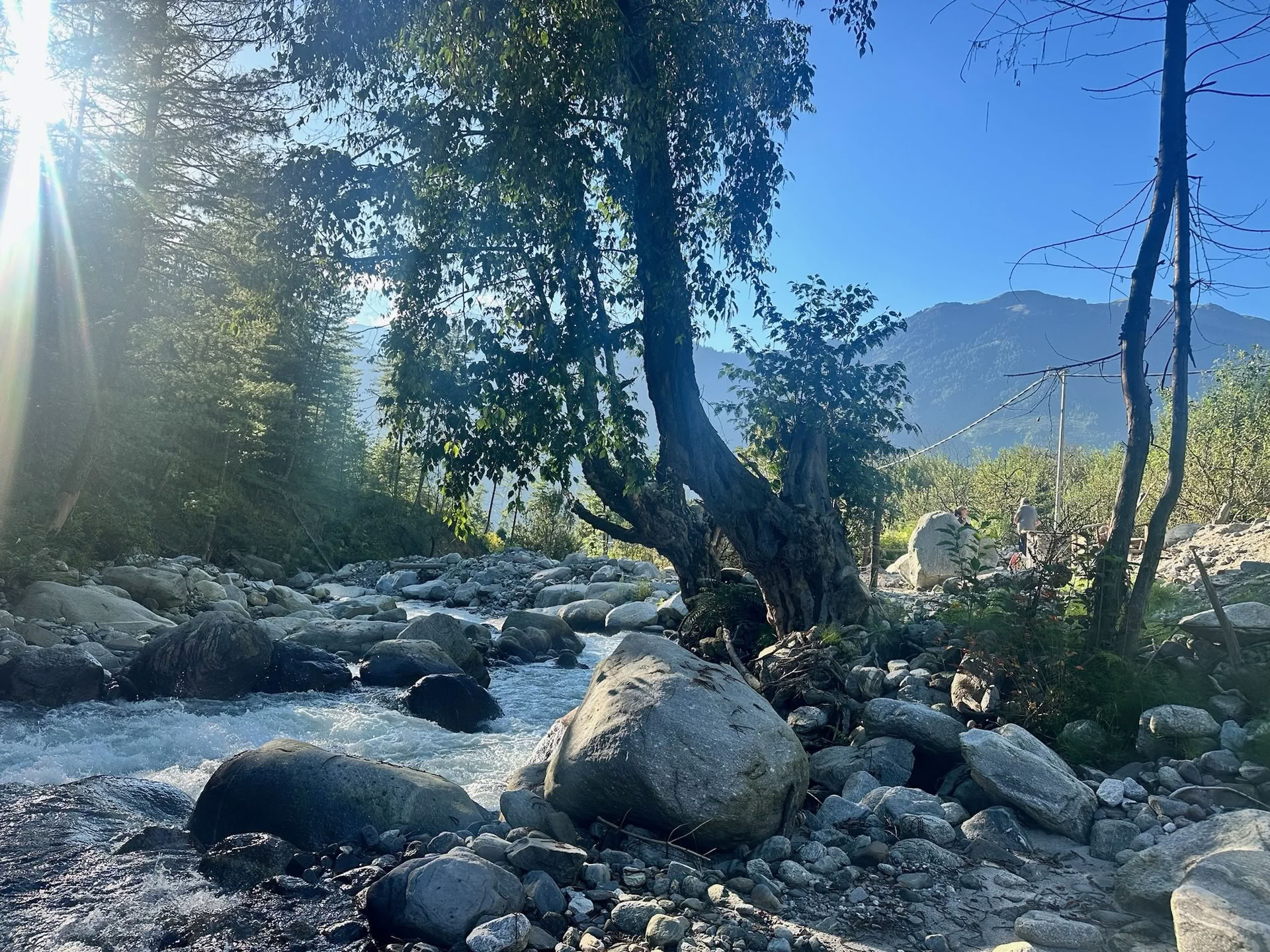 Himalaya wellnessretreat
