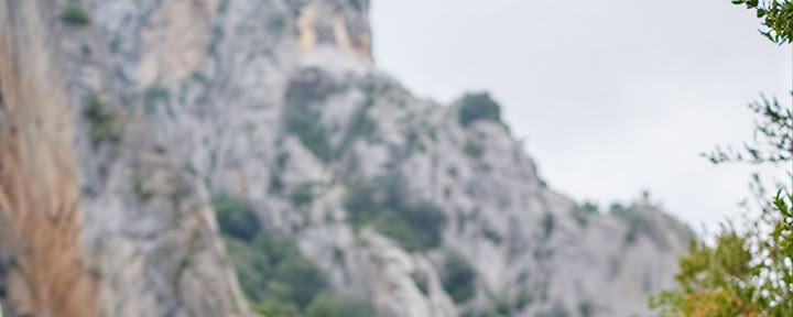 Att börja om på nytt: yoga-, mindfulness-, konst- och naturretreat