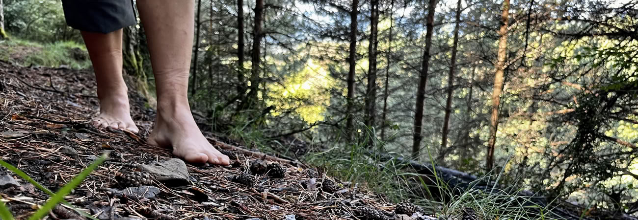 Frid i det vilda: yoga-, konst- och naturretreat