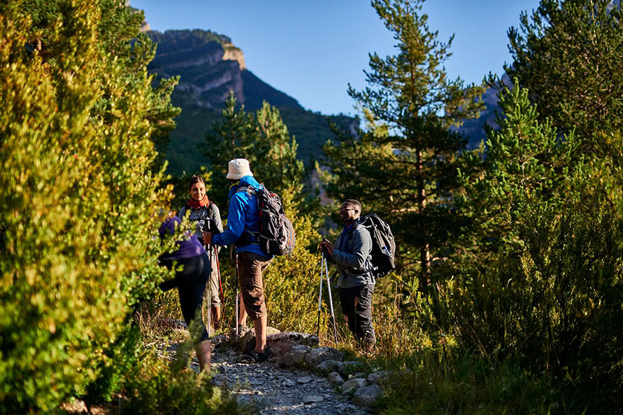 Vördnad för livet: Yoga, mindfulness och vandringsretreat