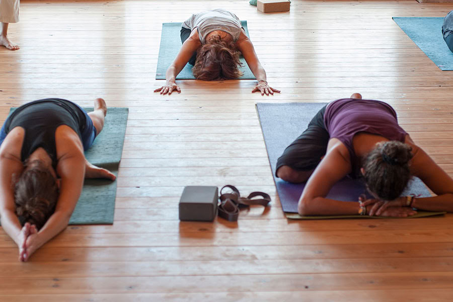 Vördnad för livet: Yoga, mindfulness och vandringsretreat