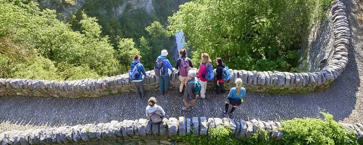 Skogsbad: yoga-, konst- och naturretreat