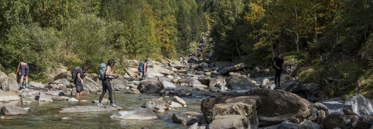 Vördnad för livet: Yoga, konst och naturretreat