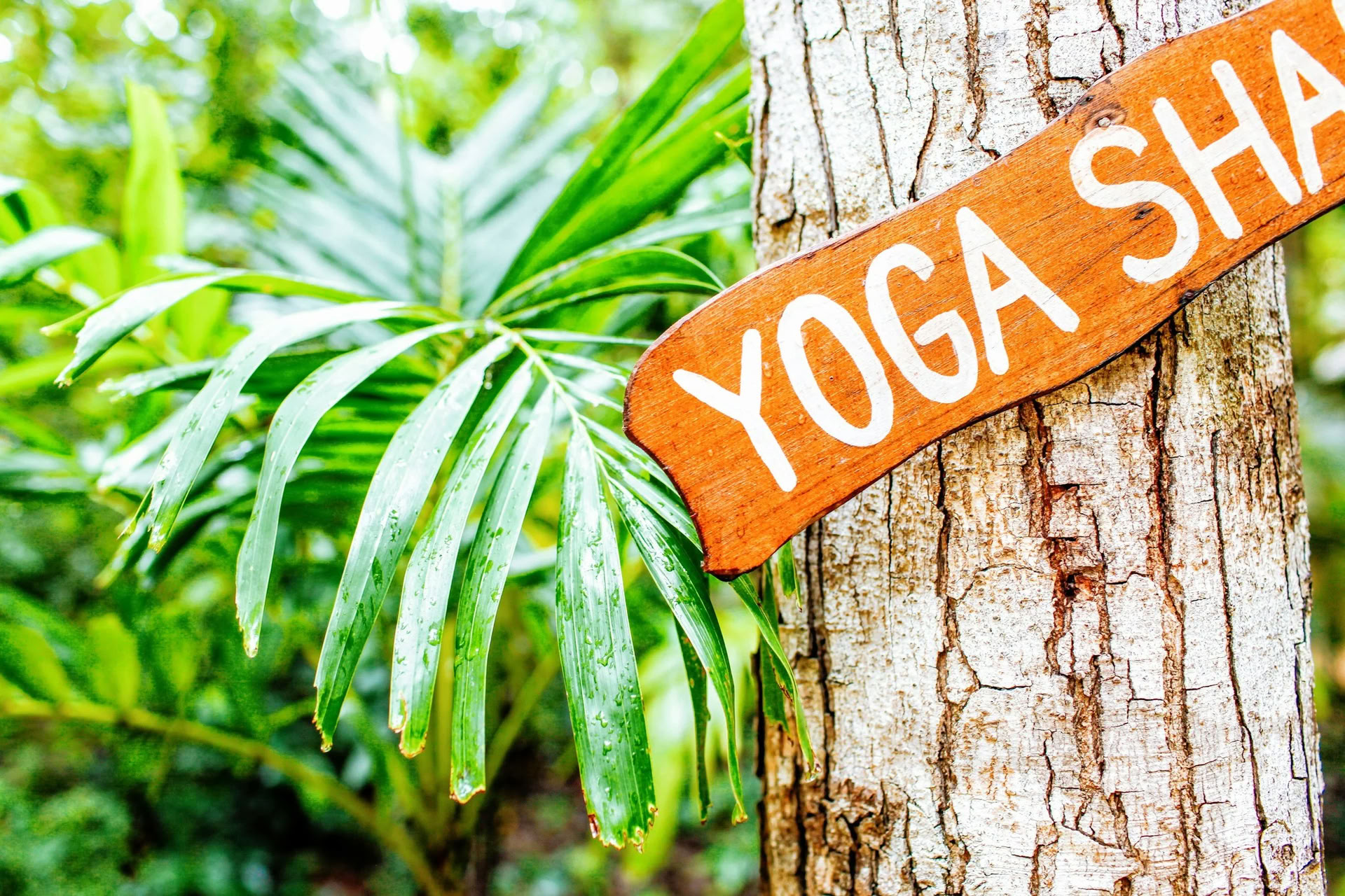 Ashtanga yoga-fördjupningsretreat