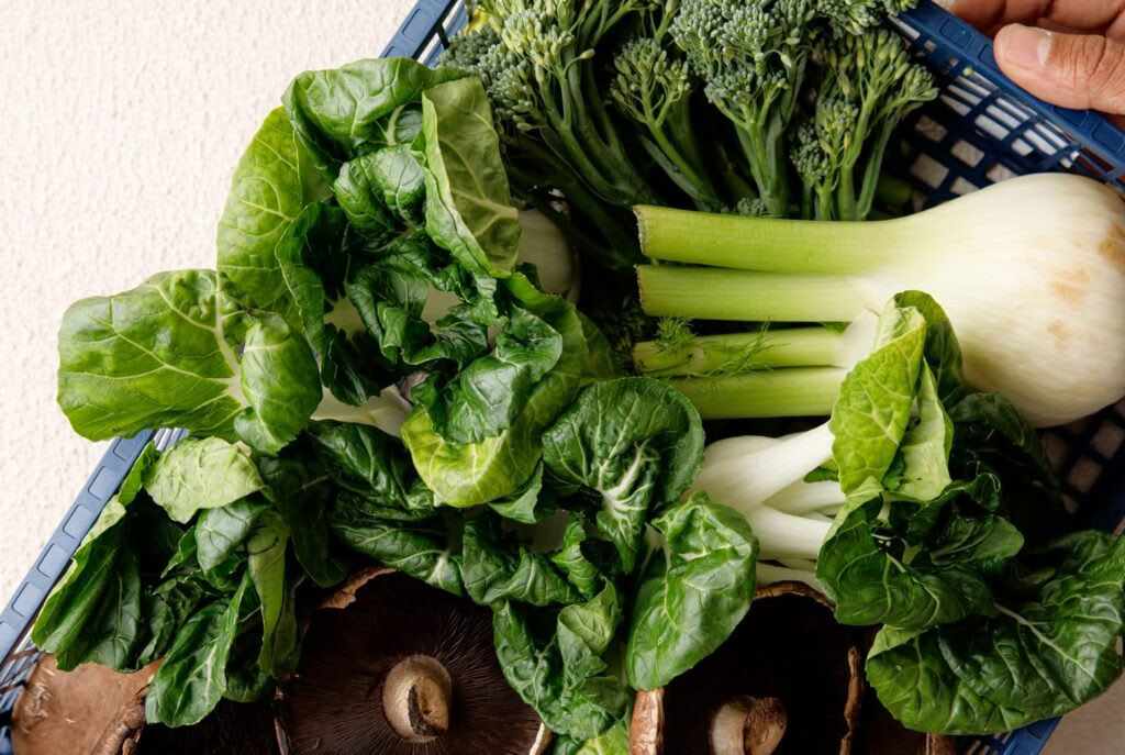 Holistiskt detoxprogram