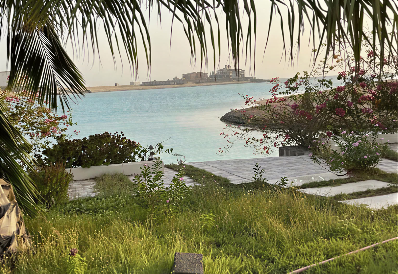 Saudi detox- och hälsoretreat