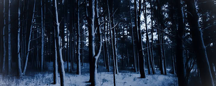 Individuella yogaklasser i Vilnius