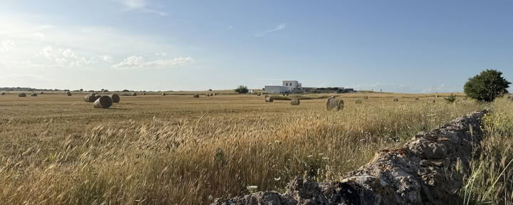 Samtal med platsen: ett kreativt residens på Masseria Specula