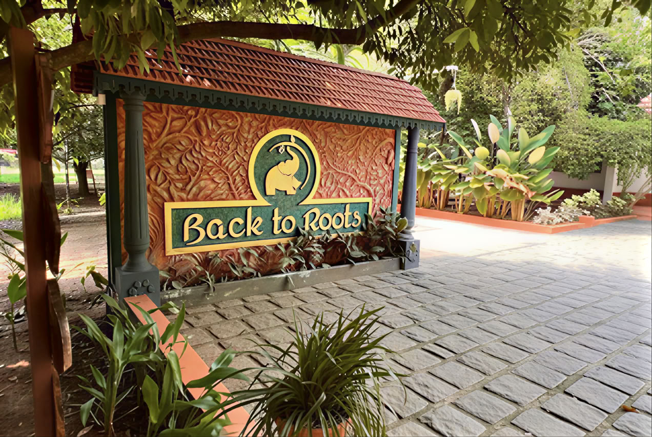 14 nätter detox på Back to Roots Ayurveda