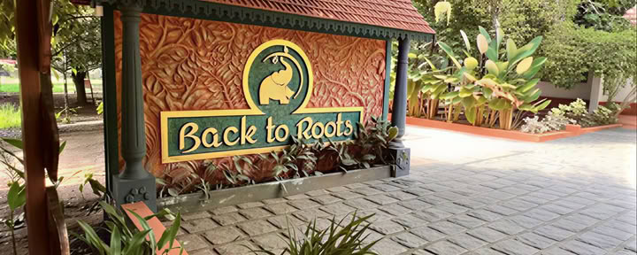 14 nätter detox på Back to Roots Ayurveda