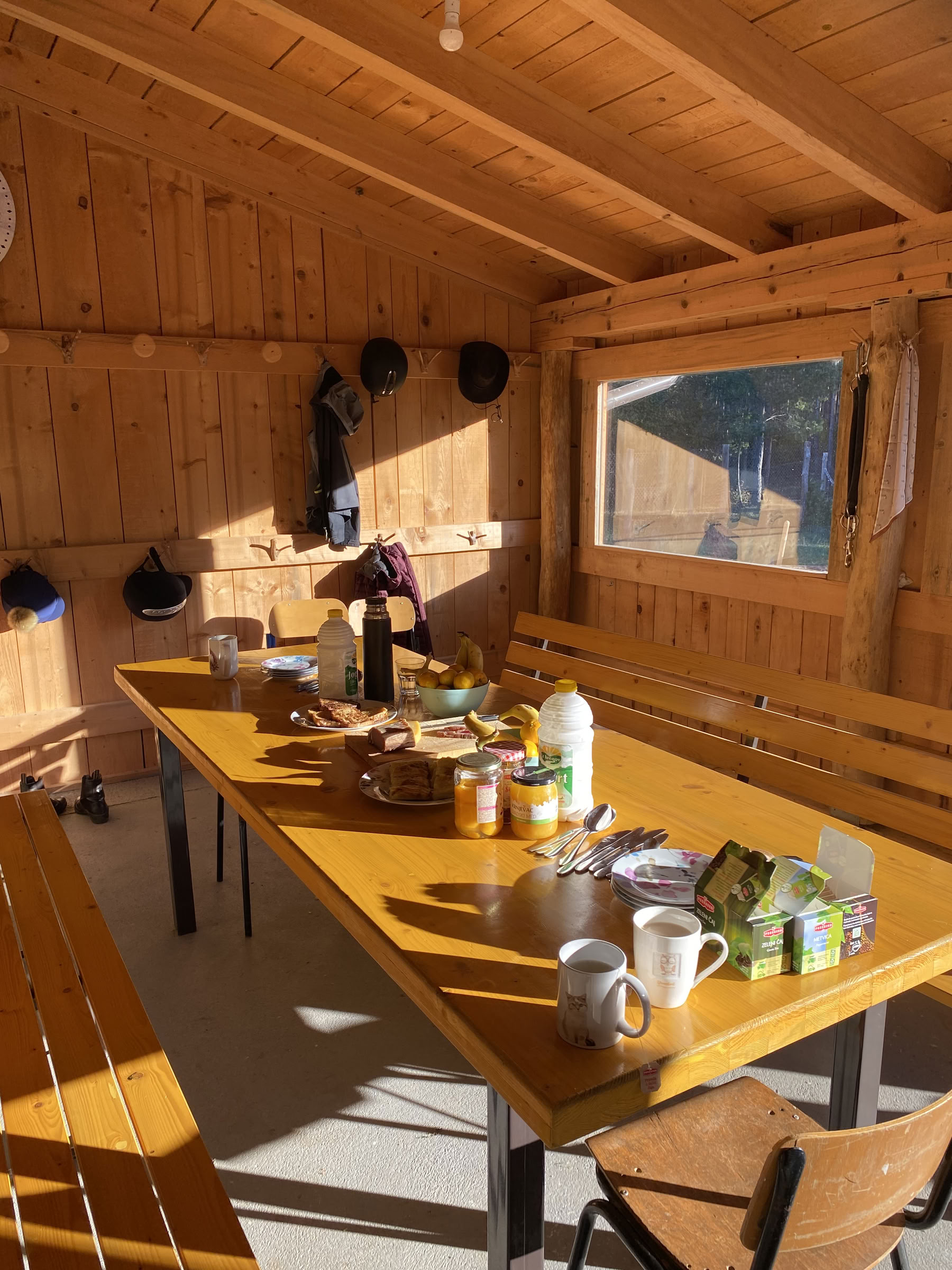 Helande till häst | Bosnien 18–23 oktober