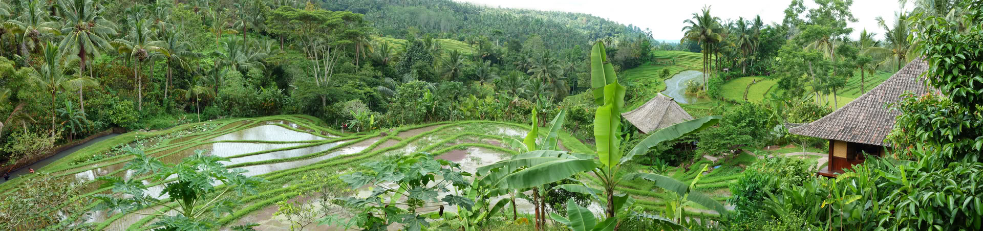 Engångserbjudande i Bali