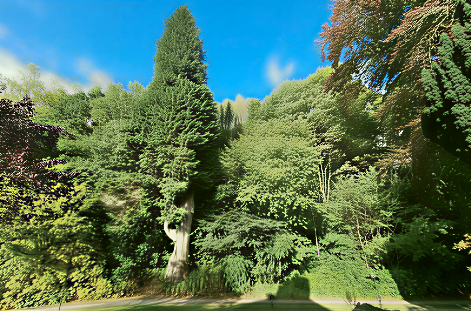 Andas och börja
