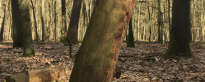 Andningsretreat