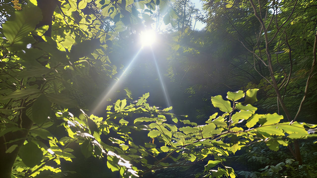 Mindfulness och metta – en yogav­eckaend