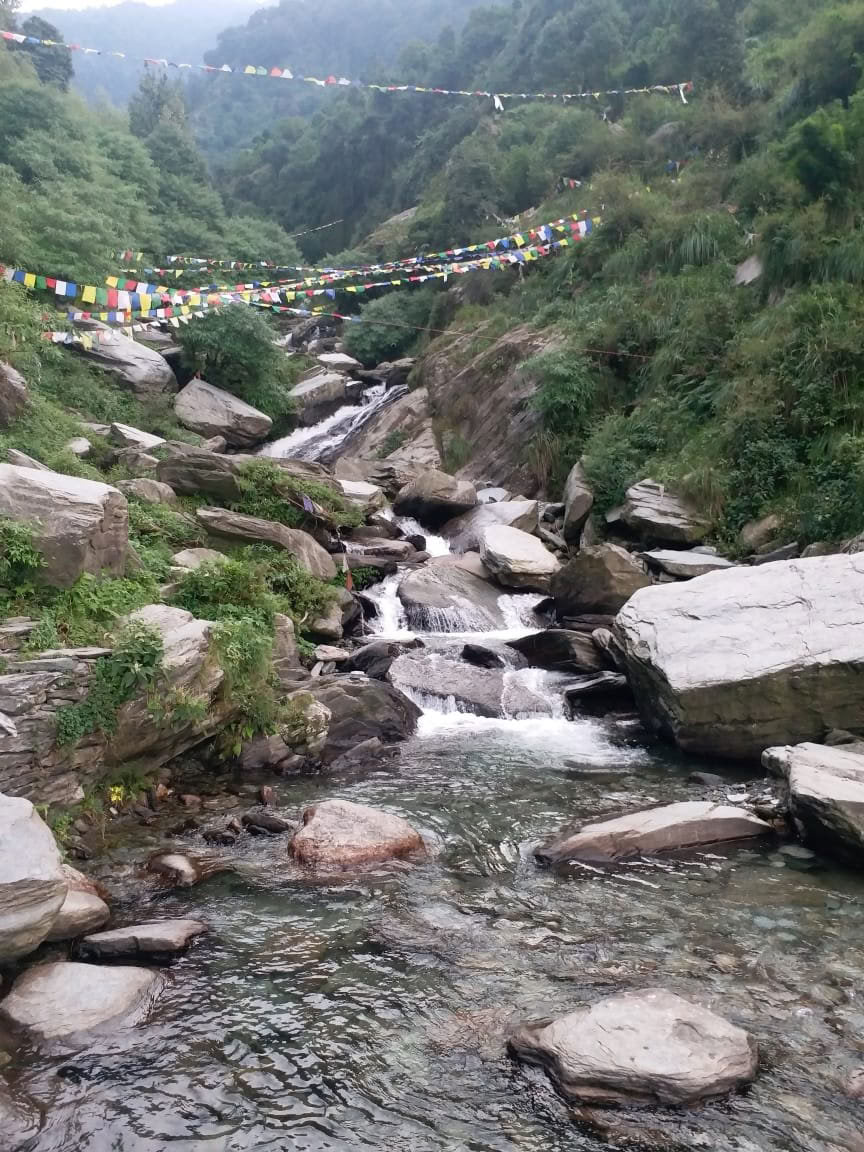 200 timmars yogalärarutbildning i Dharamsala