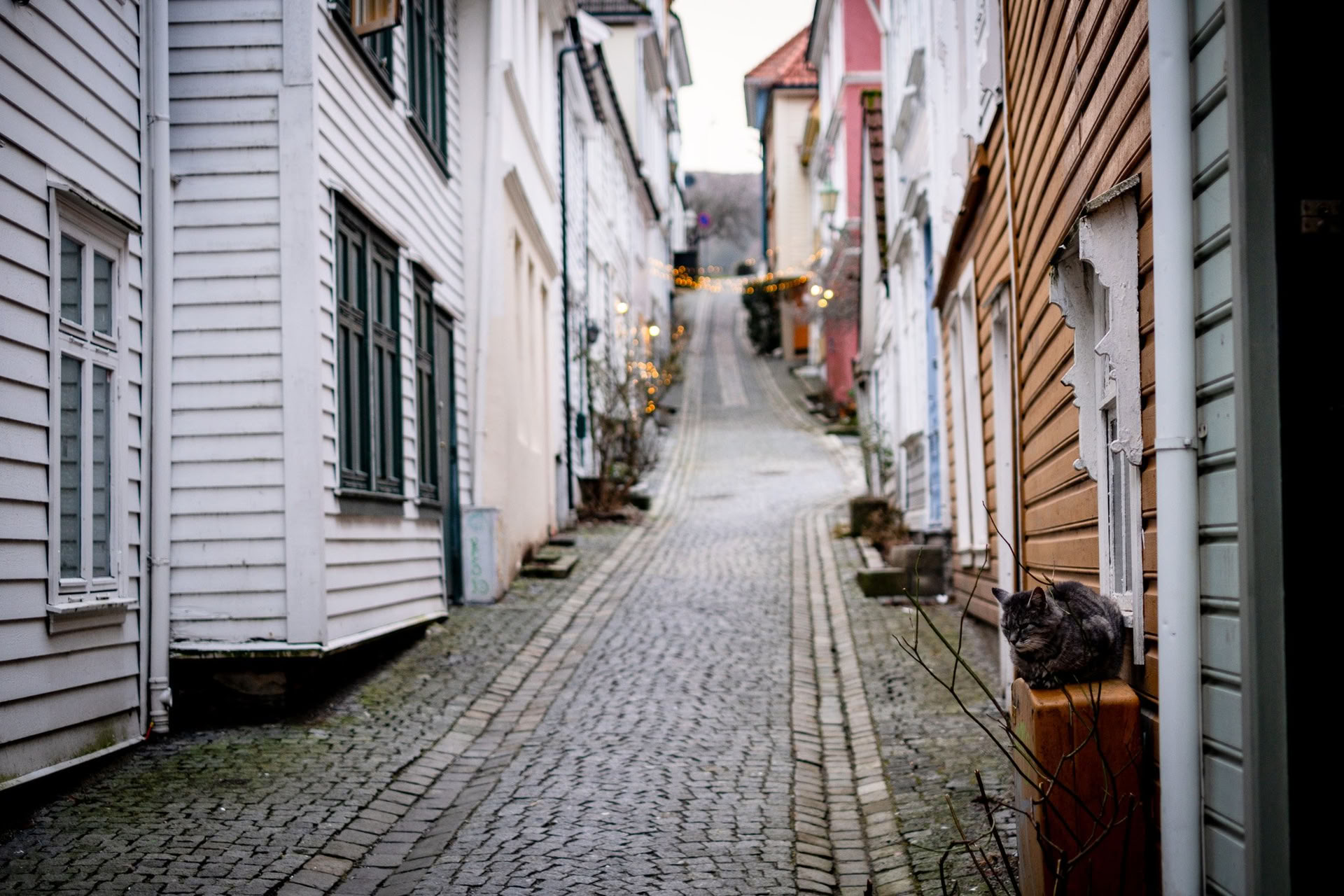Yoga och backpacking i Norge