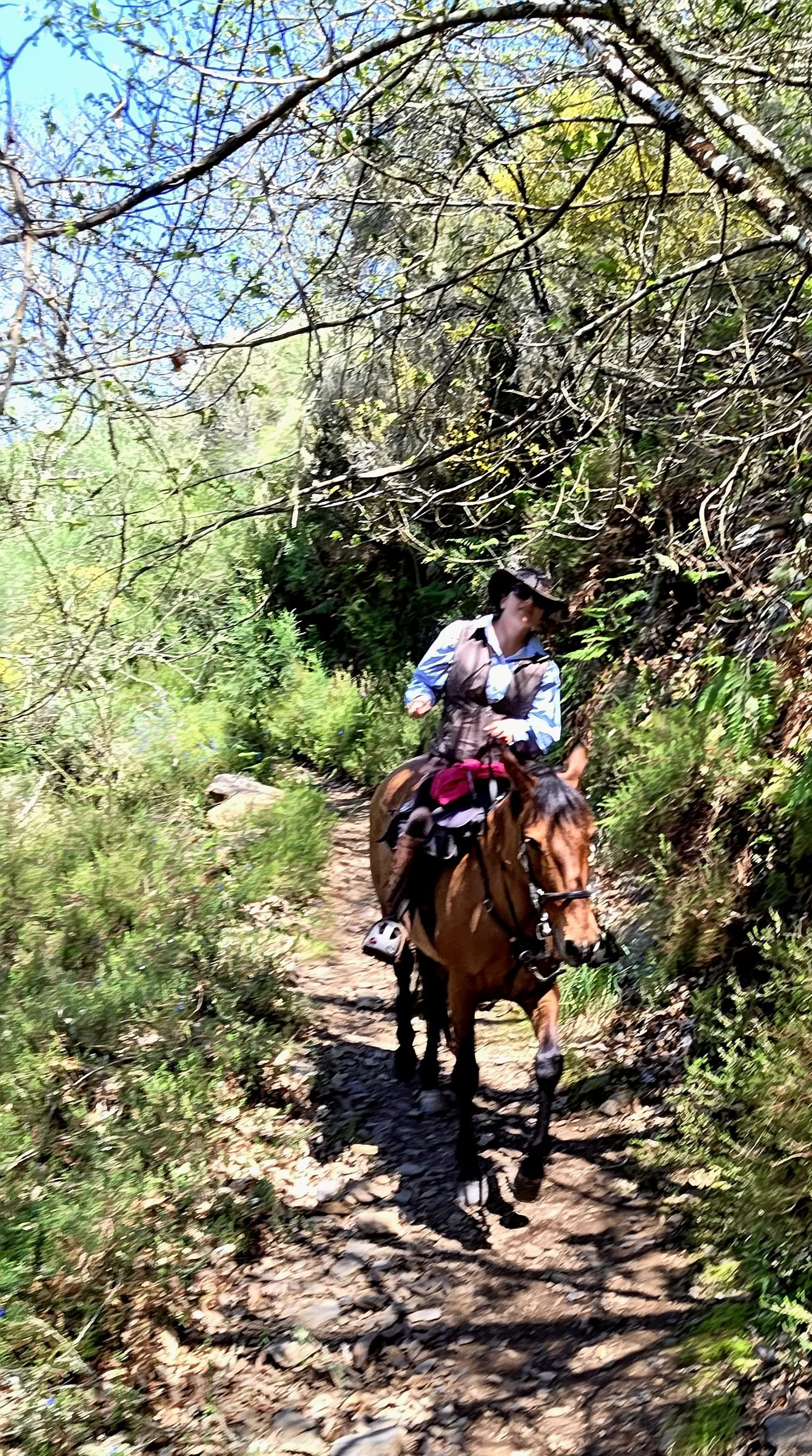 Camino Eclipse-vandring