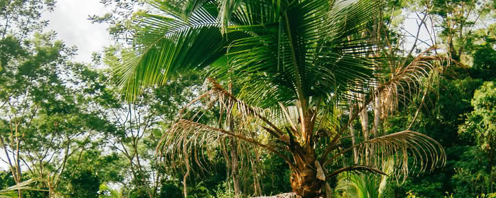 Pilates- och välmåendoretreat