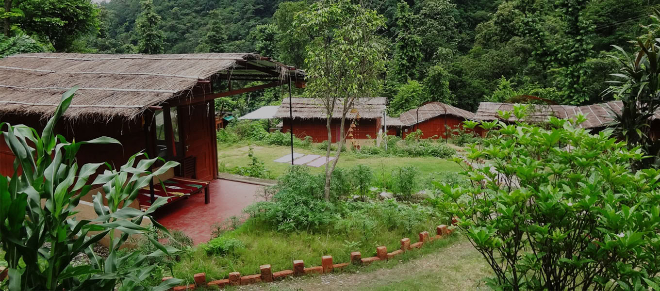100 timmars yogalärarutbildning i Rishikesh